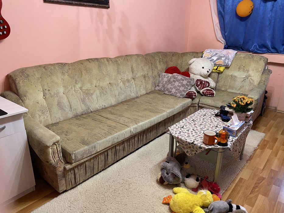 Donez coltar extensibil Arad