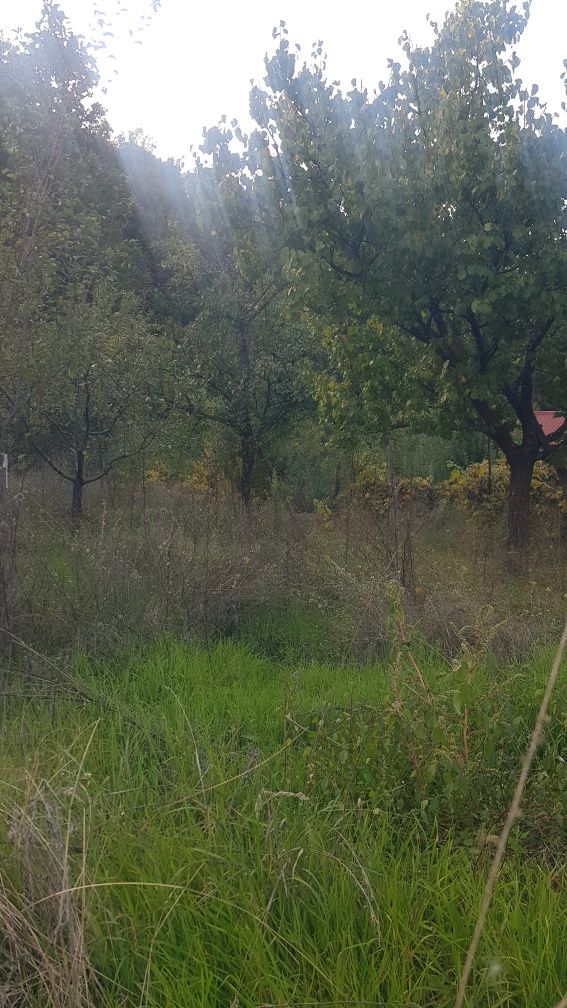 Продава се Парцел в Дупница - 900 кв.м за 25 €/кв.м - Снимка #3
