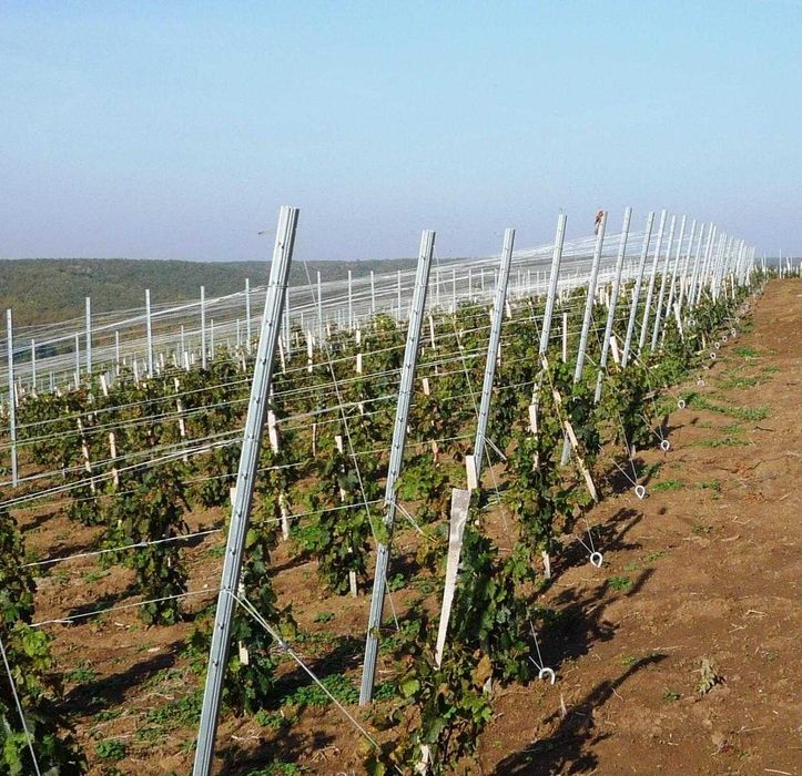 Spalieri galvanizati vita de vie , stalpi