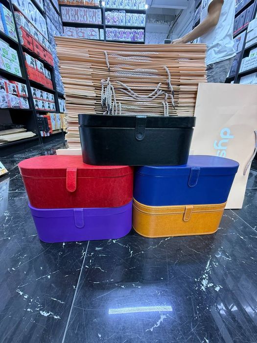 Дайсон в чемодане