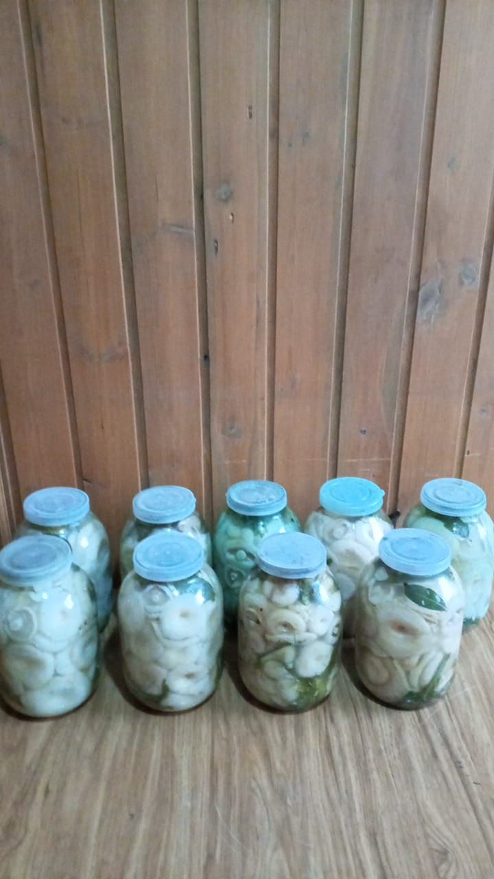 Продам грибы соленые