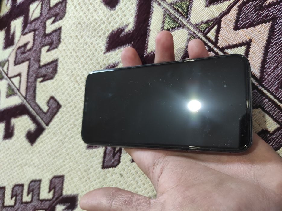 iPhone X (10)  256GB,  100%