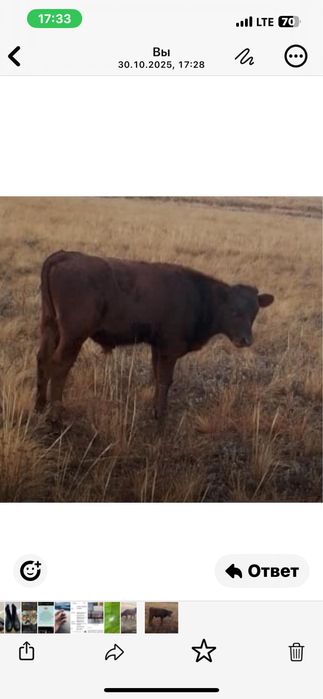 Баспақтар сатылады