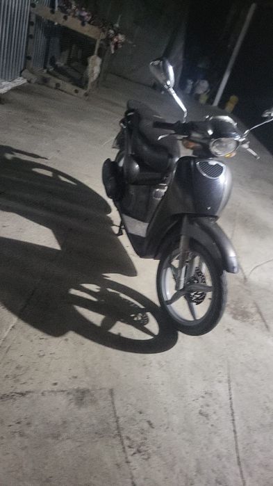 Apropia scarabeo