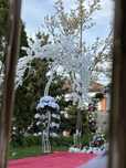 Decor | Nunta | Evenimente