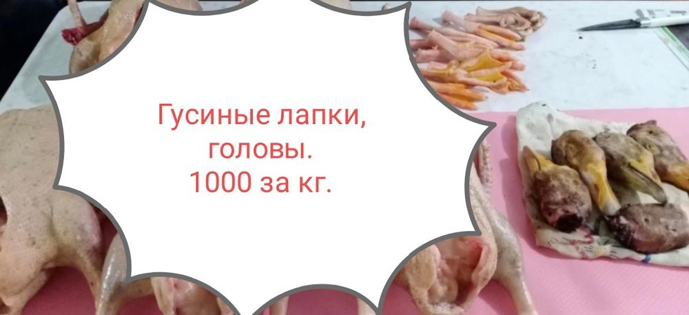 Гусиные лапки и головы! Чистые.