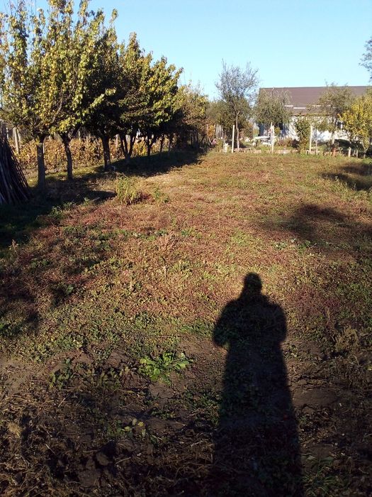 Prelucrarea solului cu motosapa și tăieri de iarbă cu motocoasa și cu