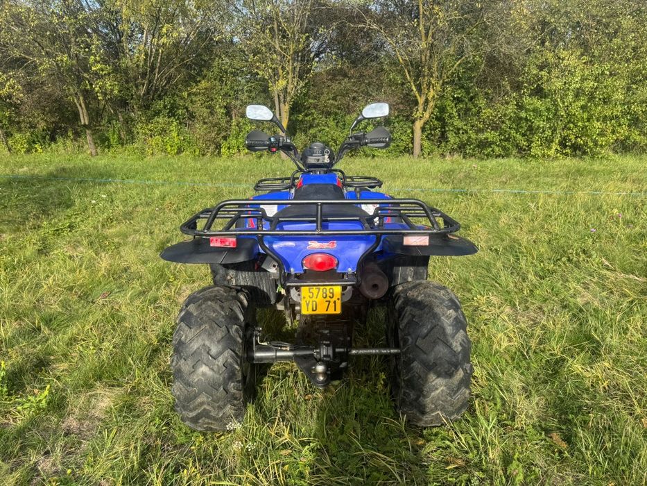 Atv  Linhai  300