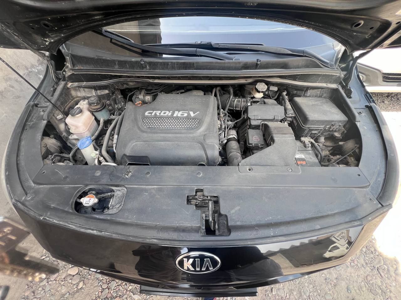 KIA carnival 9 tali