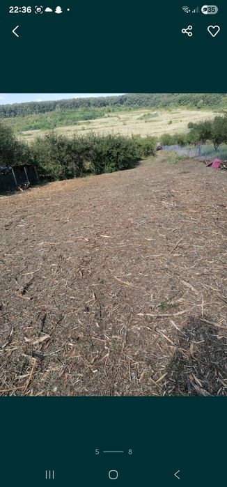 Curatare defrisare terenuri tocat spini