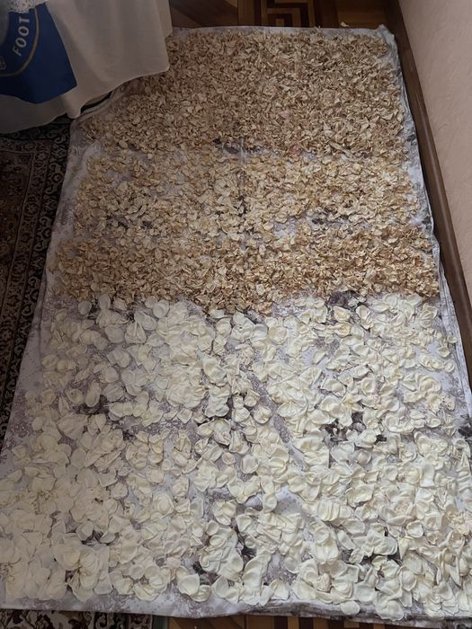 Сухие лепестки ароматных белых роз