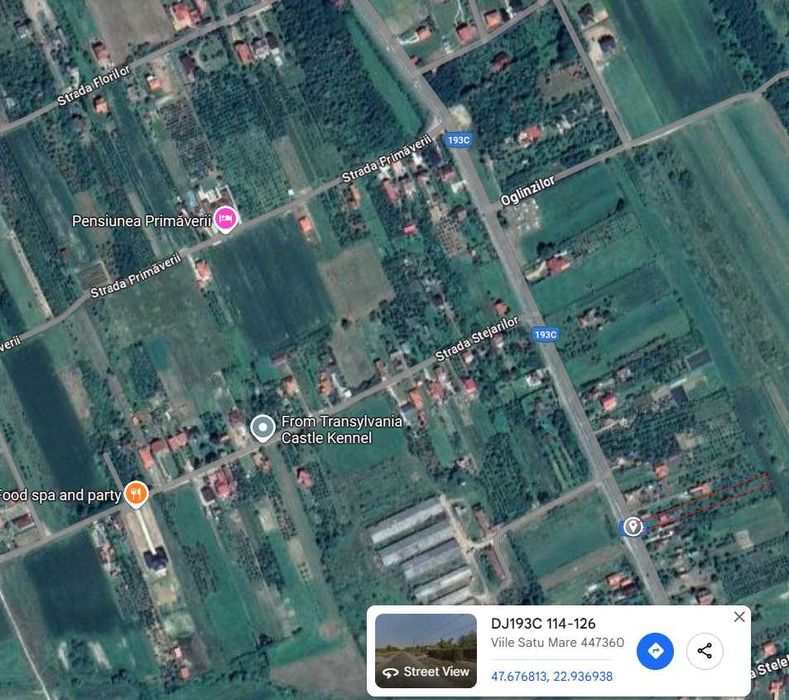 Casa de vanzare  Viile Satu Mare