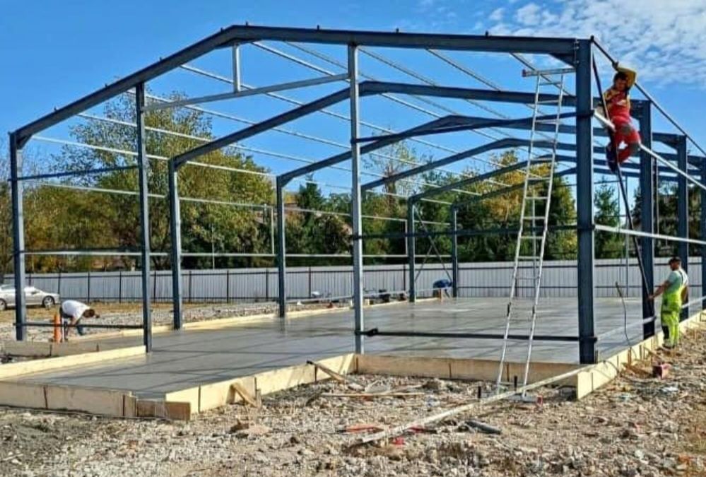 Accept. Variante. Auto. Hale metalice industriale  
- Hale agricole, a