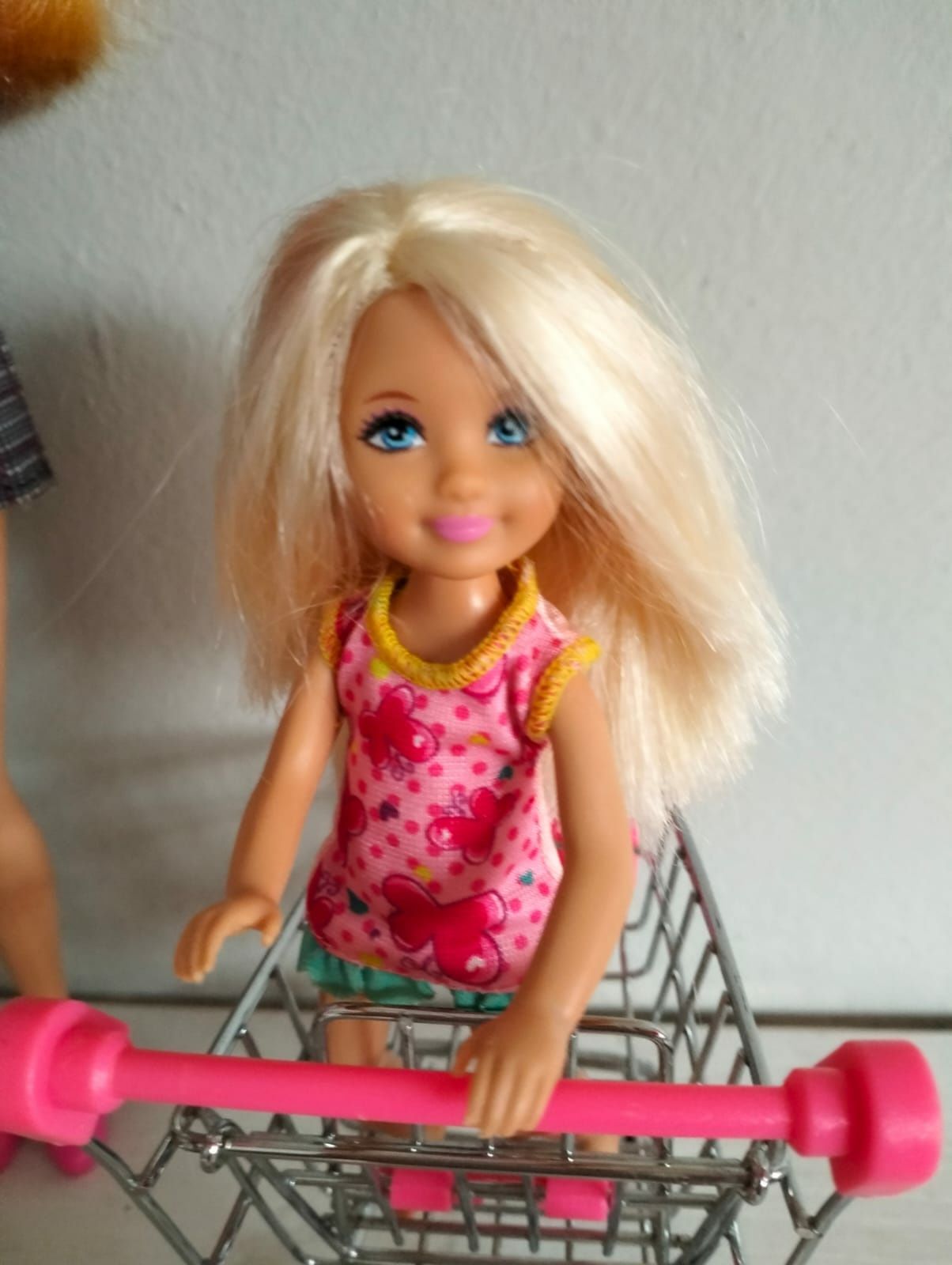 Păpușa barbie mattel set cu animalute