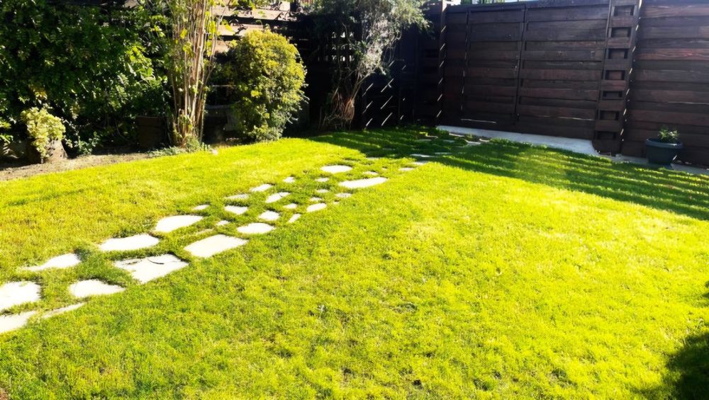 Casă cu vedere panoramică, 195mp, zona Eugen Ionesco!