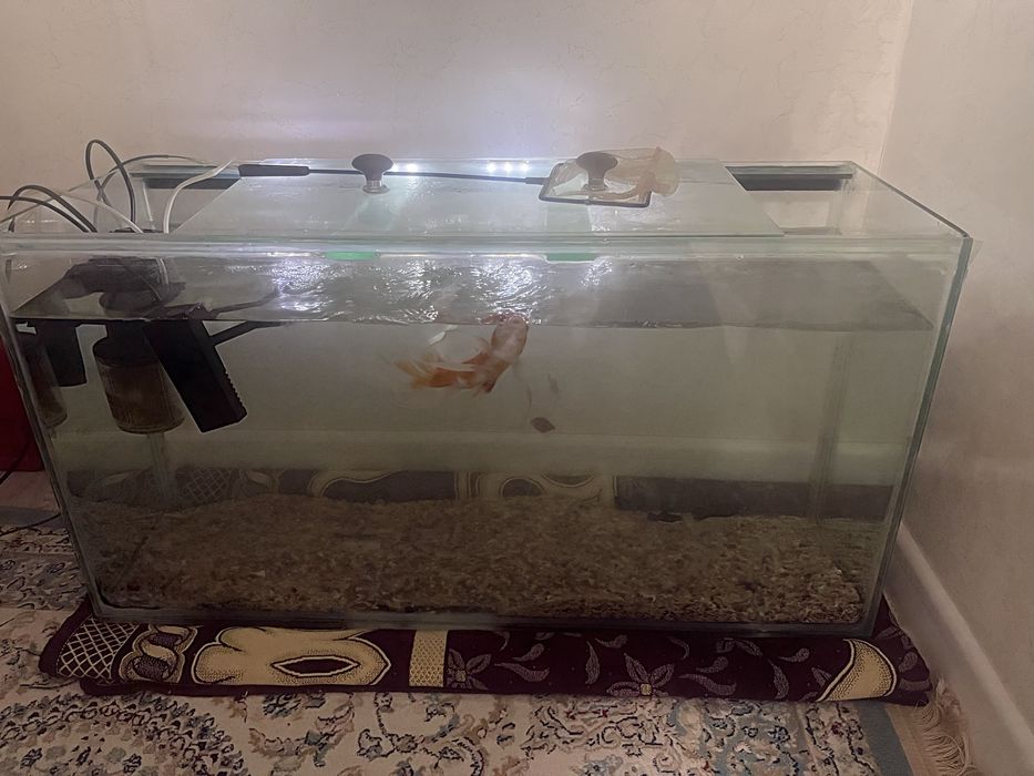 Аквариум. 120литр