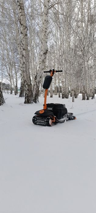 Сноуборд.       .
