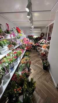 Цветочный бизнес (студия цветов, цветочный магазин, цветы, букеты)
