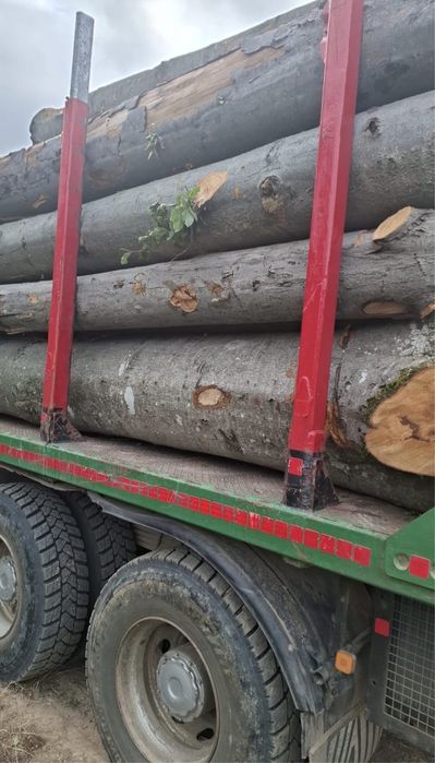 Lemn de foc - fag verde