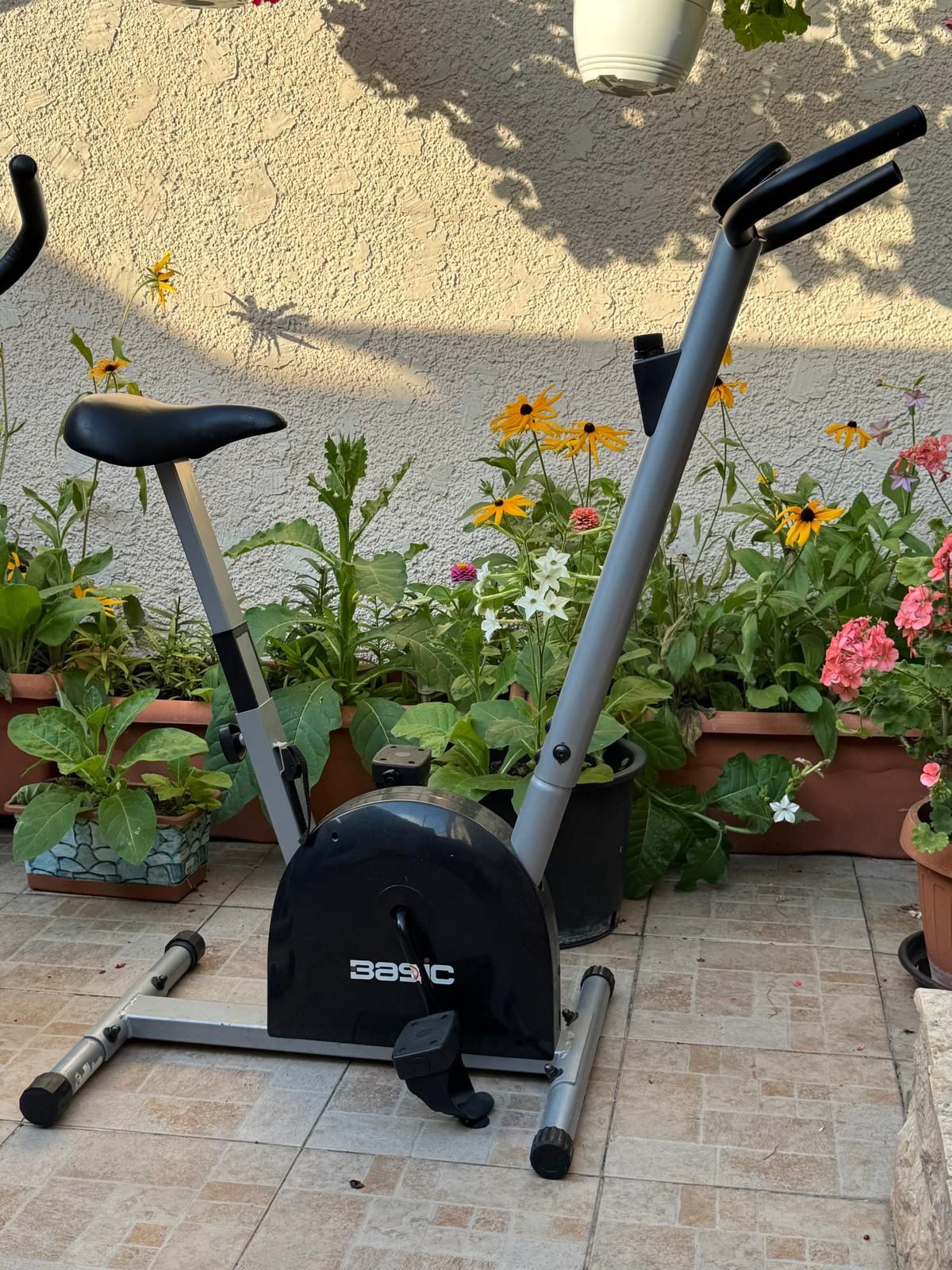 Bicicleta stationara