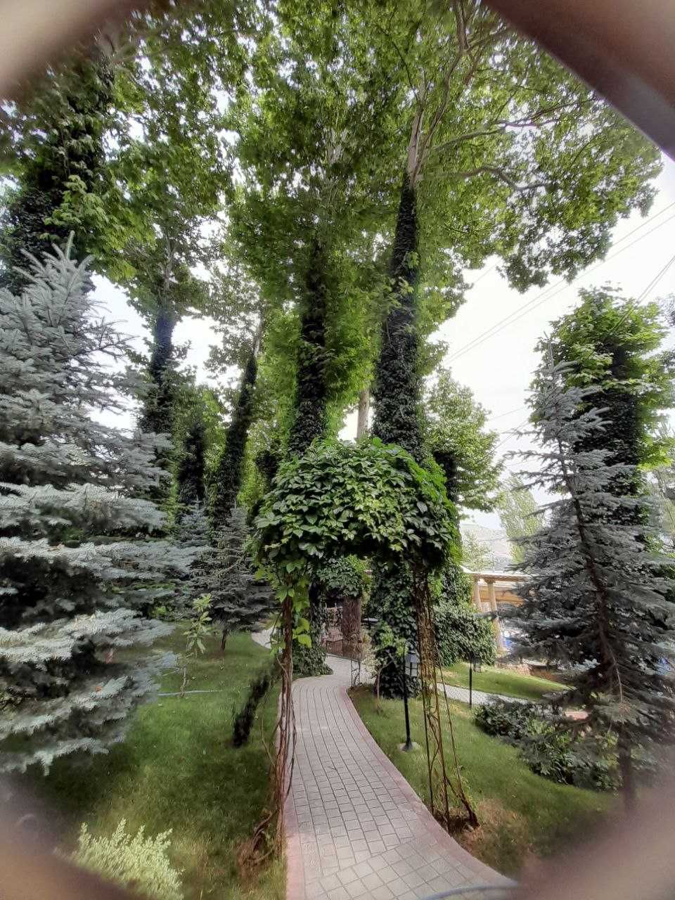 ПРОДАЖА ЭЛИТНОЙ ДАЧИ 24 сотки (авторский проект)