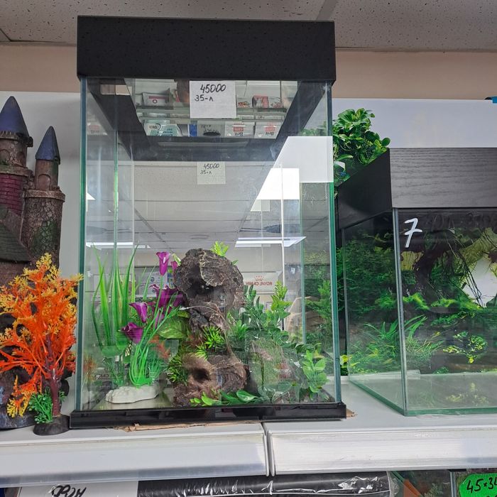 Продам аквариумы новые!