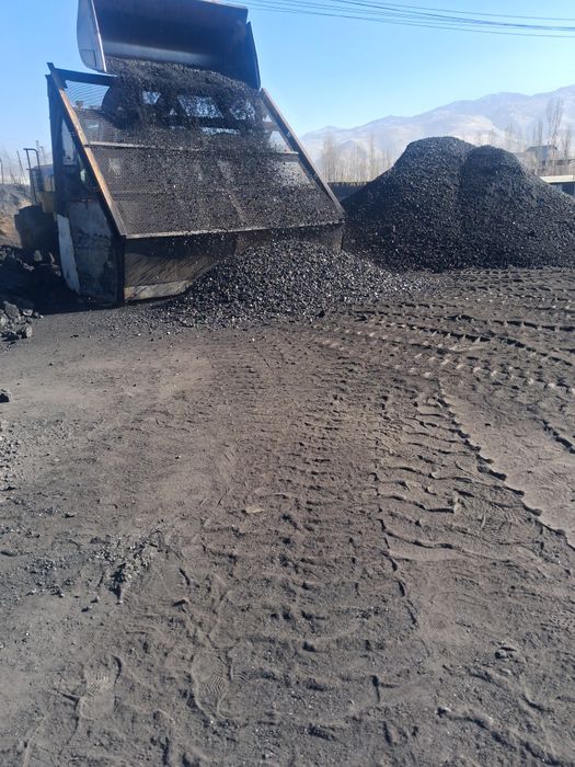 Шубаркул,каражара,майкуба