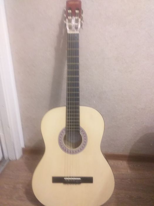 Продам гитару с чехлом