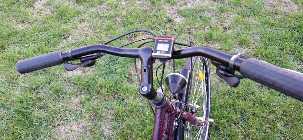 Bicicleta 28 Brinkmann