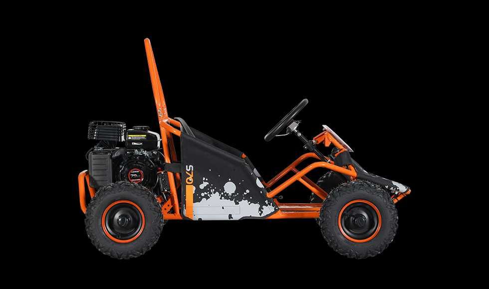 MYMOTO CLUJ vinde : GoKart  copii cu motor benzina KAYO - S70