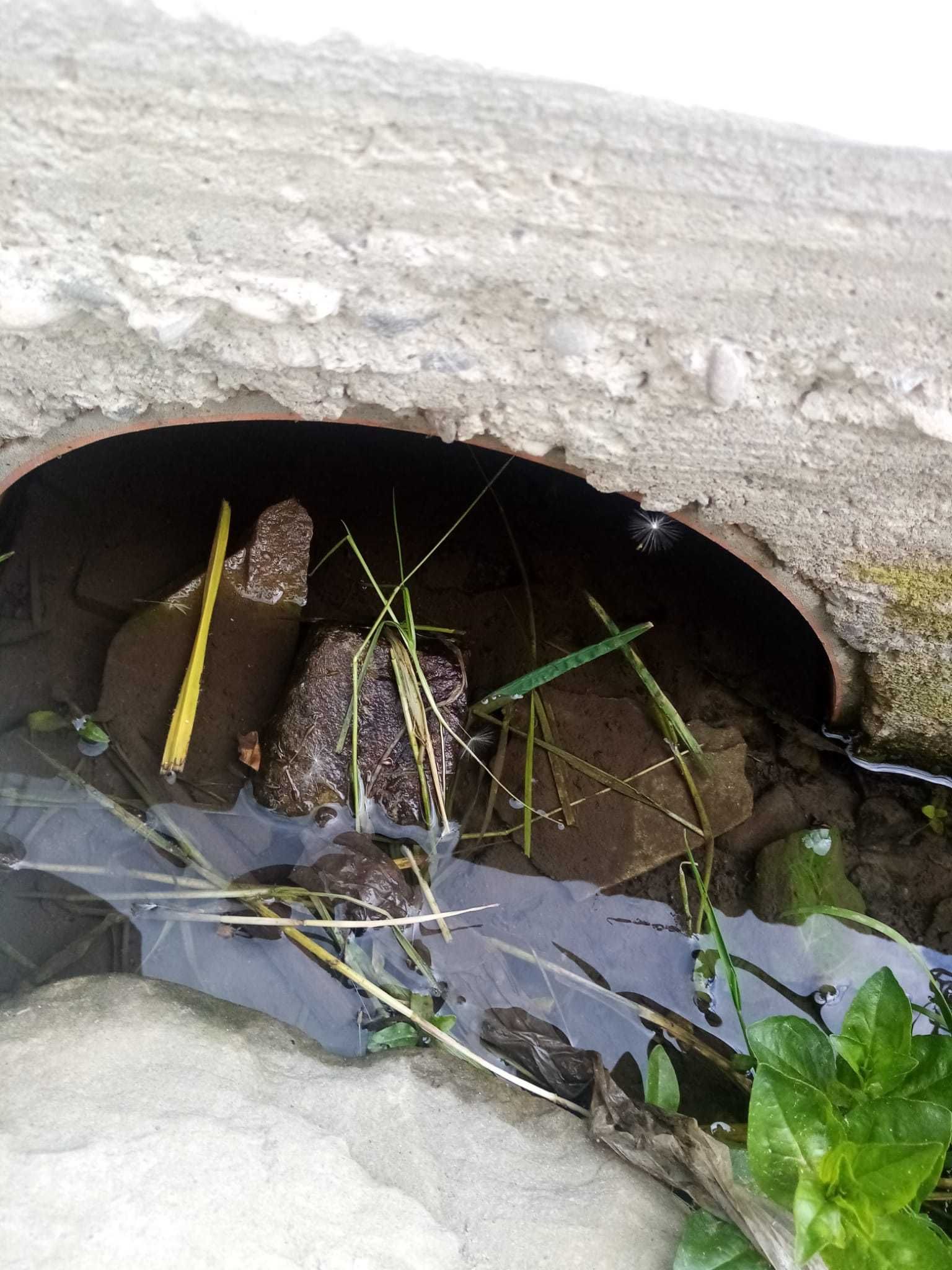Teren de vanzare zona Valea Negrasului/Valea Doftanei