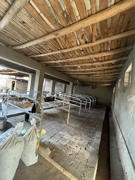 Продается Дачная зона + Ферма