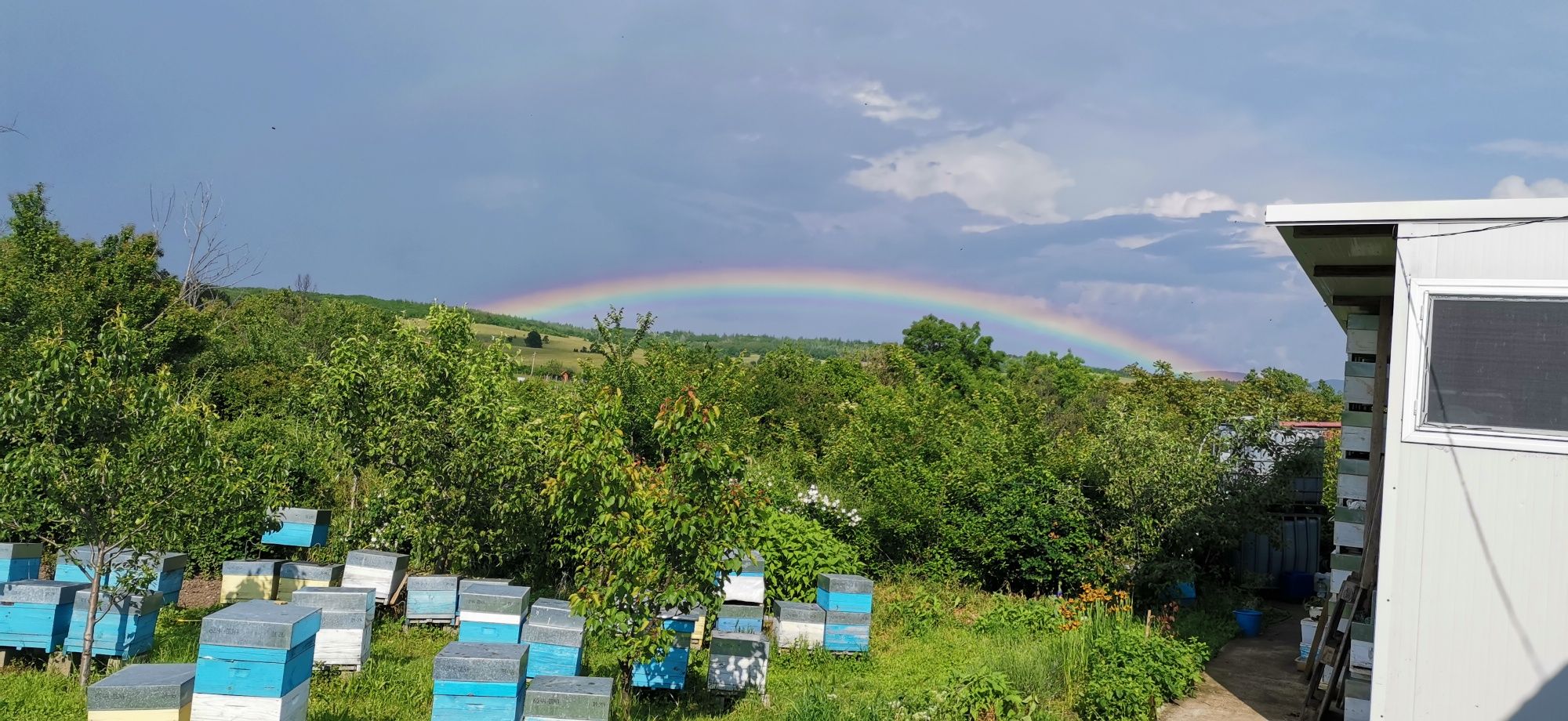 Продавам нуклеуси ДБ/5 рамки /, рамки ДБ, платформи за подв.пчеларство