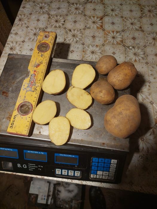 Картофи за консумация