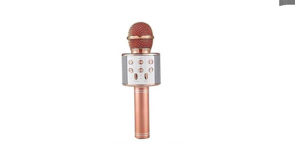 Microfon Karaoke fara fir WS 858