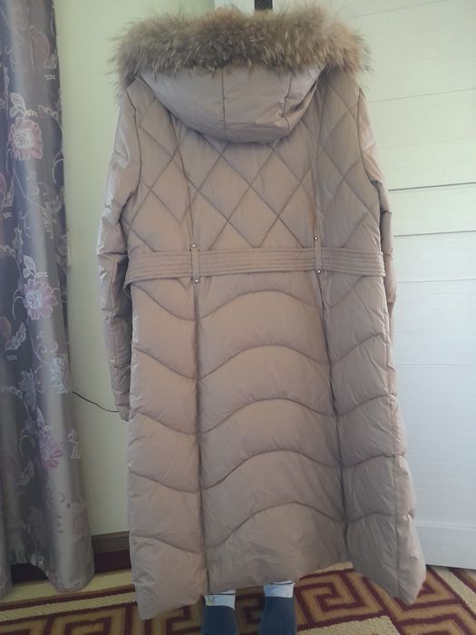 Кишки кутка сотилади г6