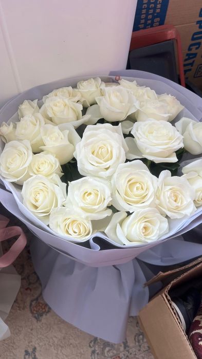 Цветы гулдер сатылады