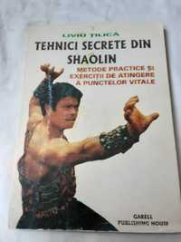 Tehnici secrete din Shaolin  - Liviu Tilica