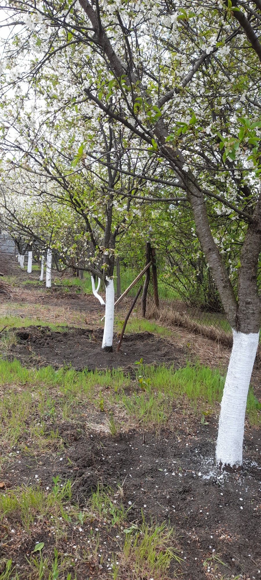 Vand-Casă În Golești-Vrancea.