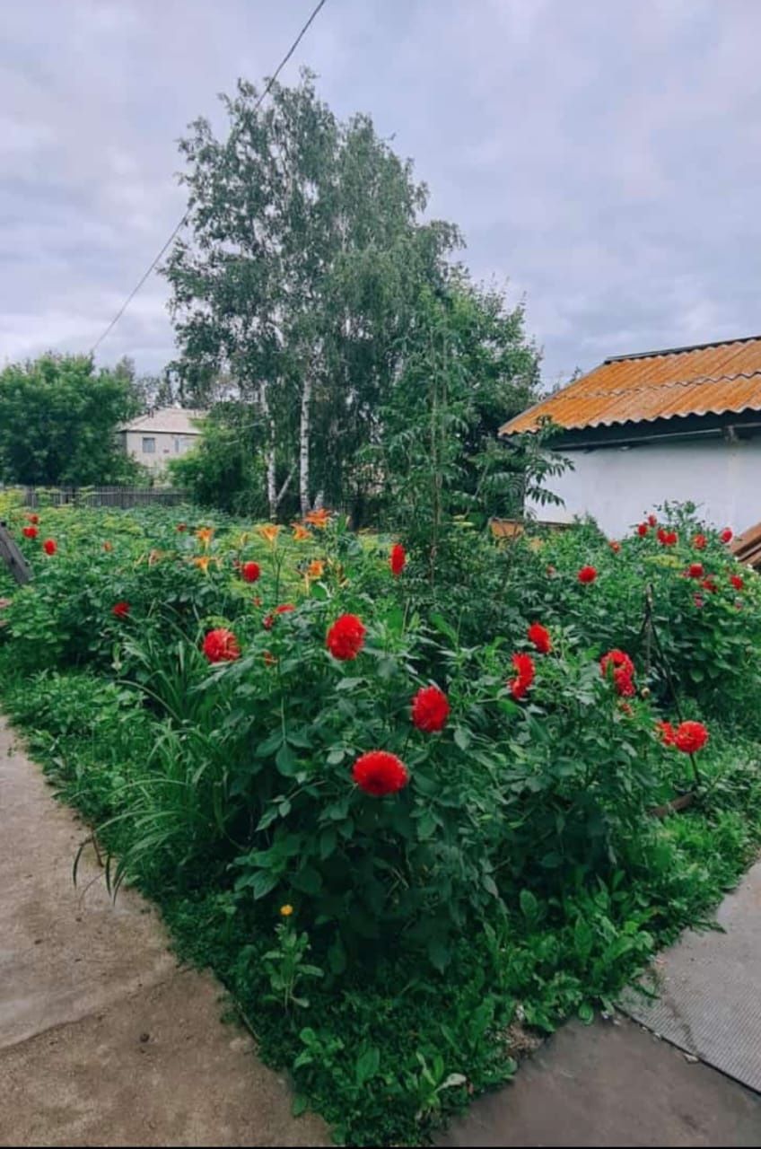 Дом. Село Чаглинка