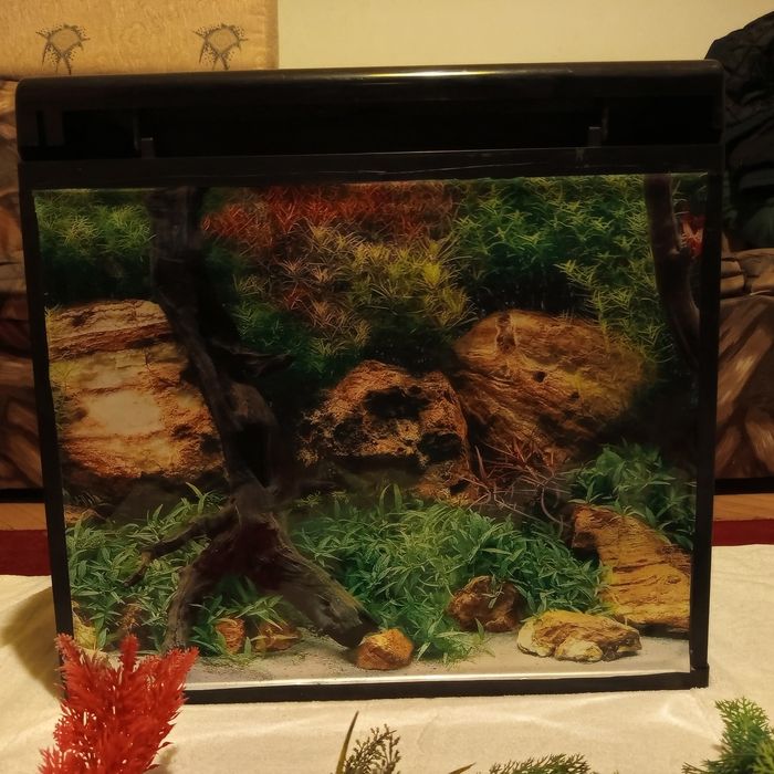 Аквариум 60л+цялостно обурудване