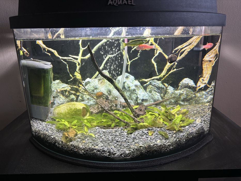оборудван аквариум