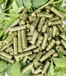 Granule lucerna / peleti / furaj / sprot