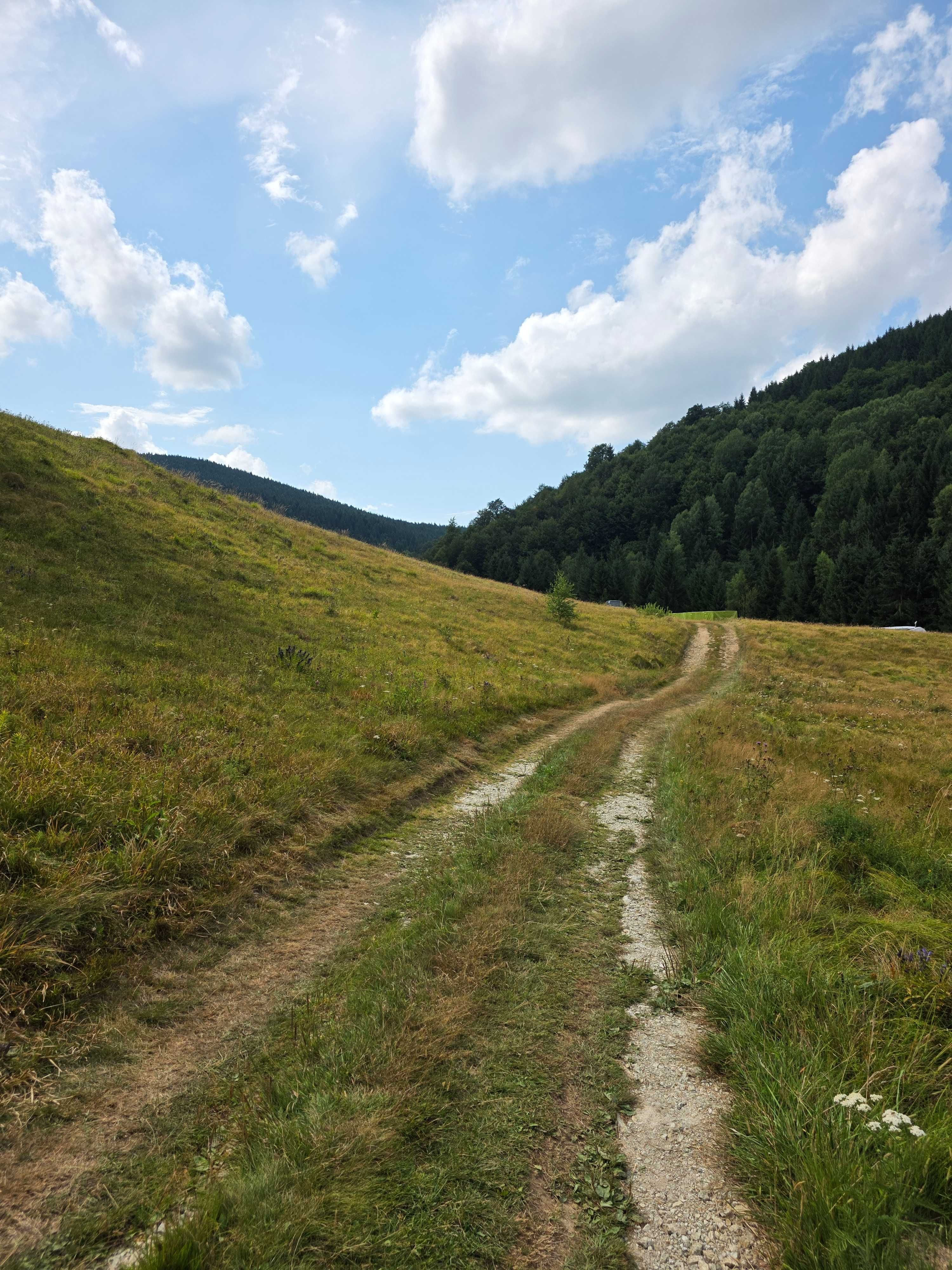 Vânzare teren la munte, Baraj Drăgan-Alunu-Apuseni , de la 9,5 E/mp
