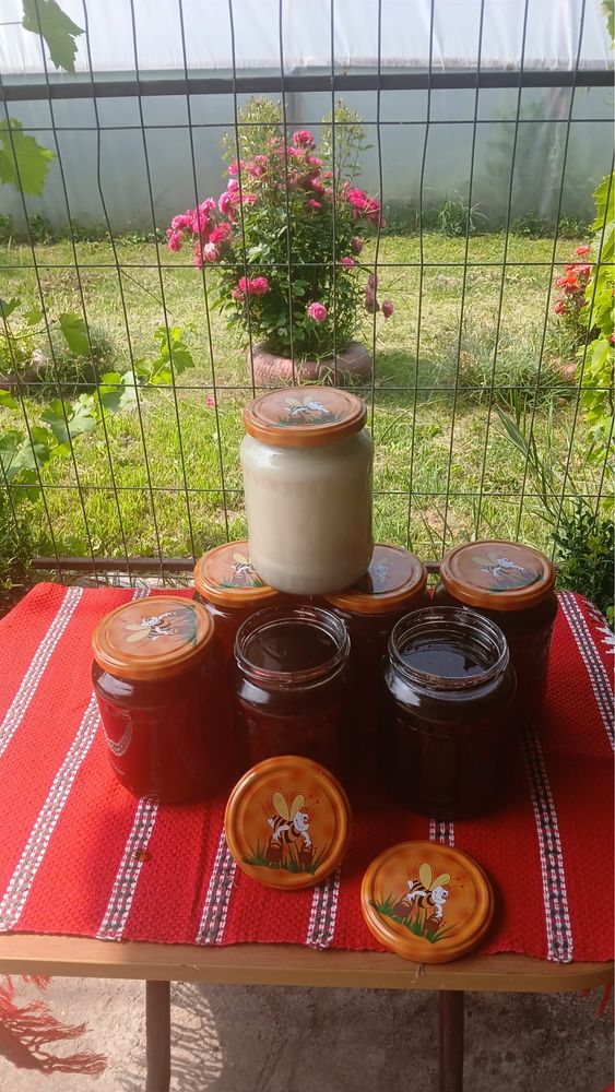 Miere de mană curata productie 2025