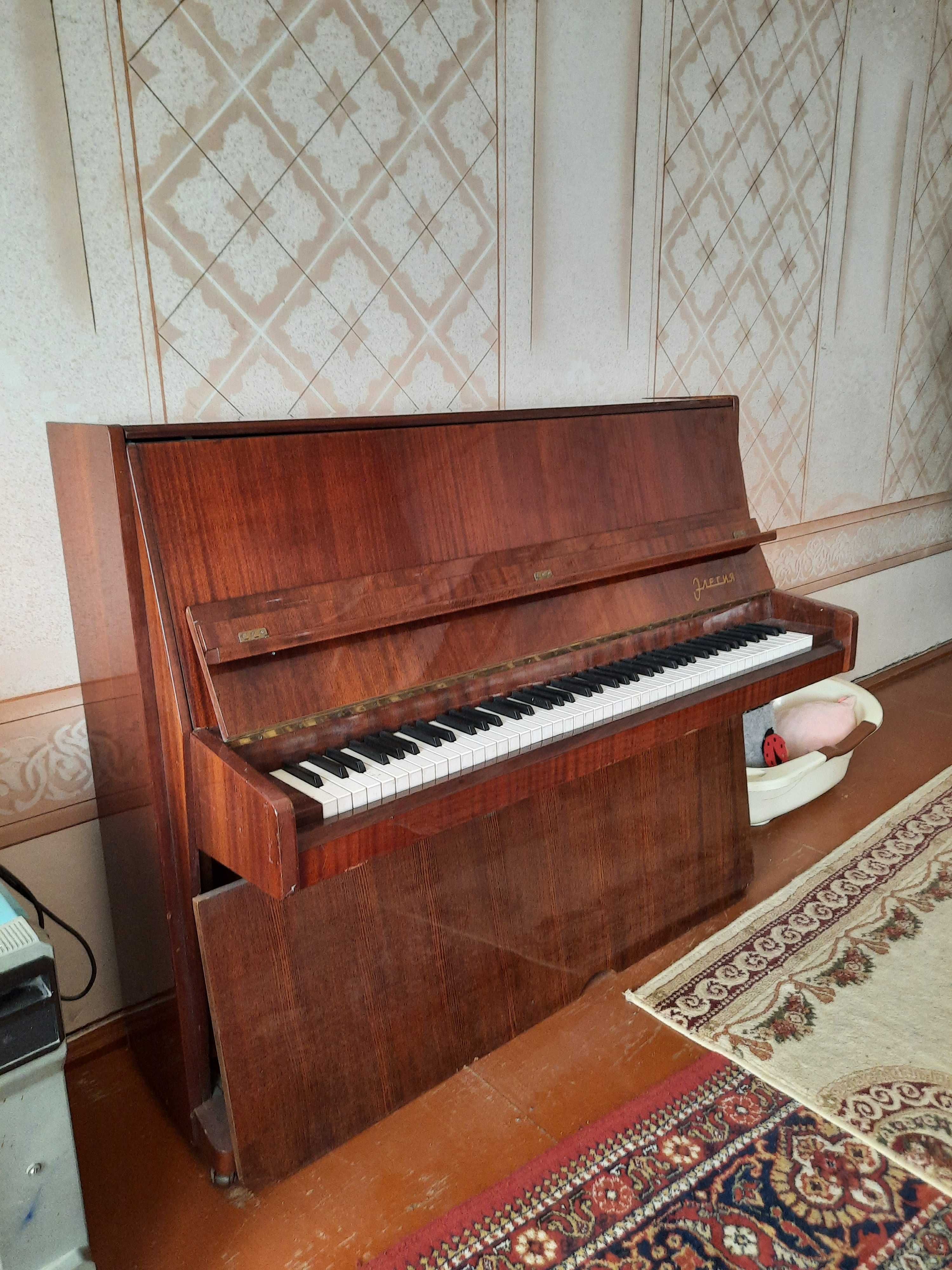 Pianino va Royal Sotiladi!