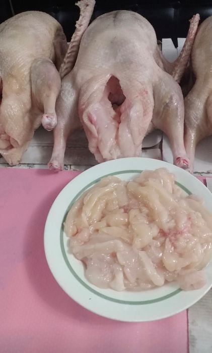 Гусиный жир, не топленый. Свежий.