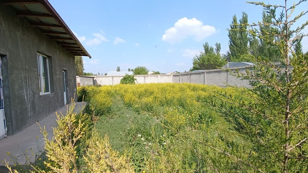 Майский 8,3соток,2 хона+кухня+санузел уйни ичкарисида,80% битган,