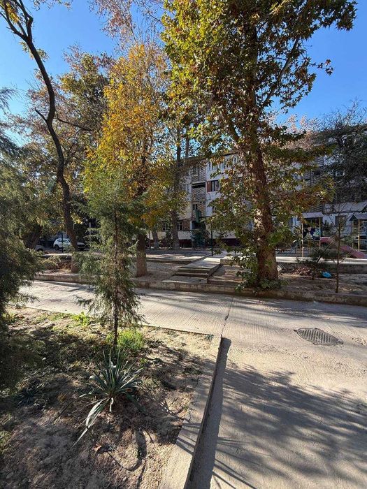 Сдается в аренду 1/2/5 Шато Руставели 35 Центр рядом кафе B&B г.Россия