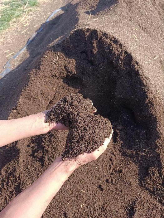 Биогумус, удобрения. Табиғи тыңайтқыш